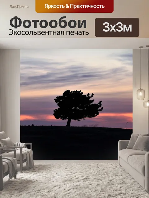 Фотообои Маленькая сосна на закате
