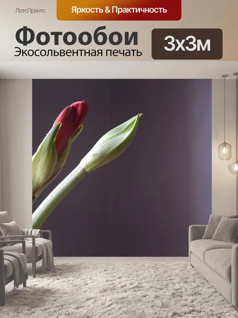 Фотообои Природа