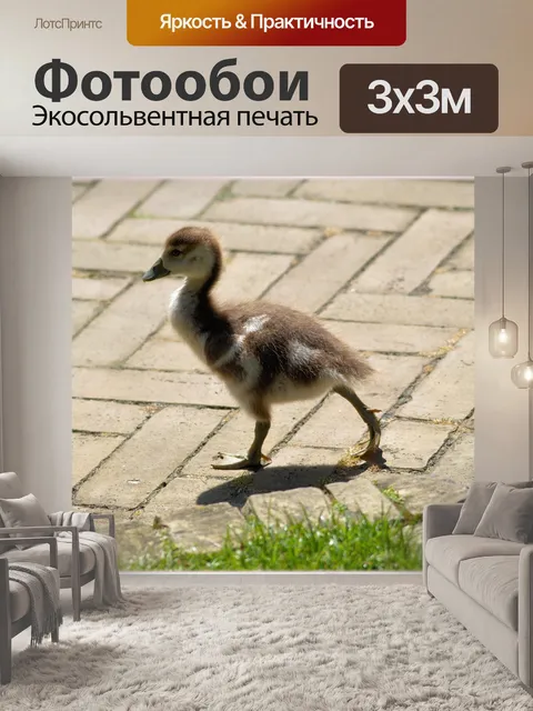 Фотообои Нил Гусь и 08 детенышей