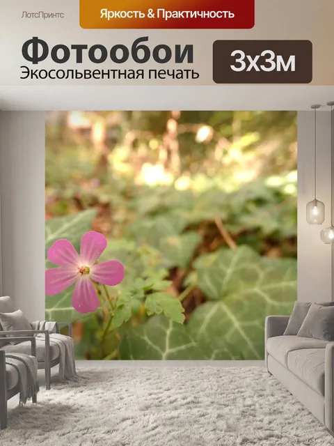 Фотообои Розовый цветок