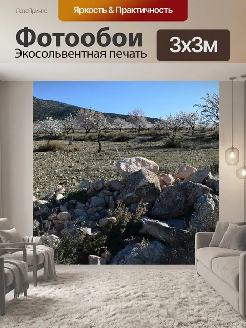 Фотообои Пейзаж