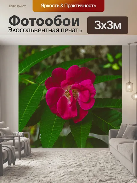 Фотообои Розовый