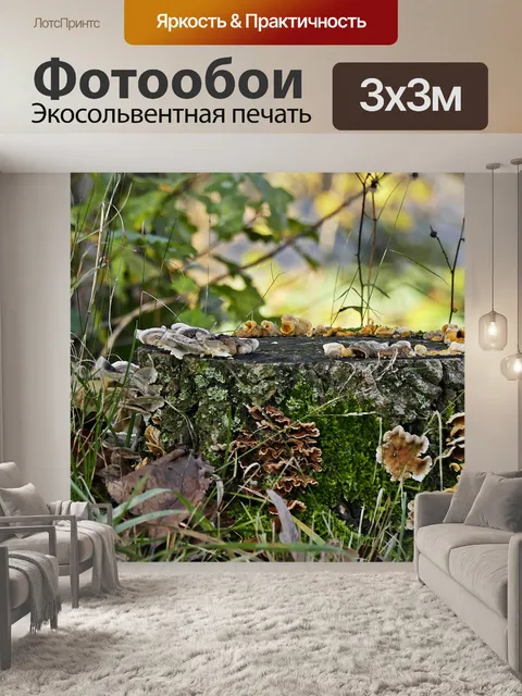Фотообои Пень