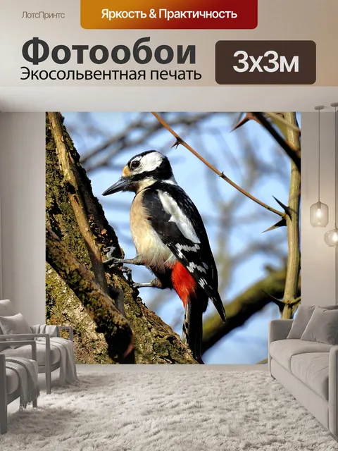 Фотообои Птицы