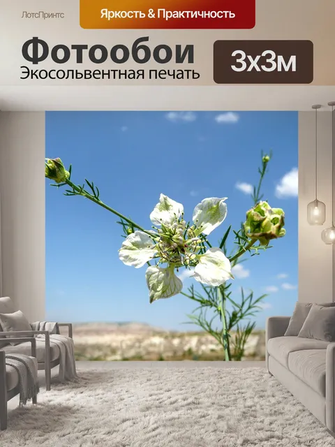 Фотообои Цветок