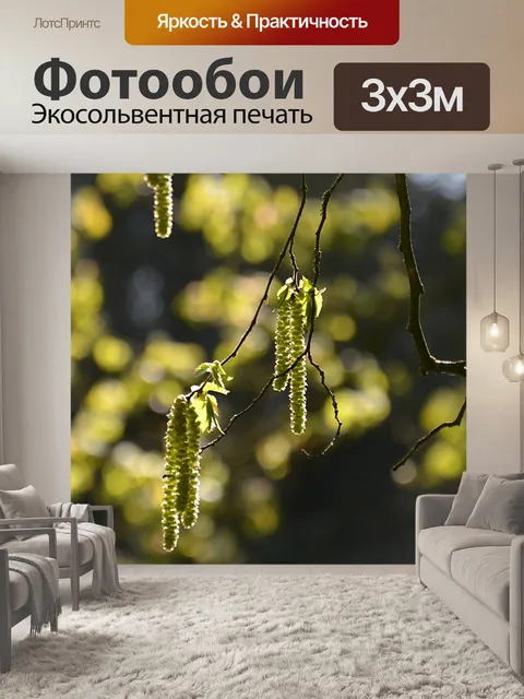 Фотообои Цветы