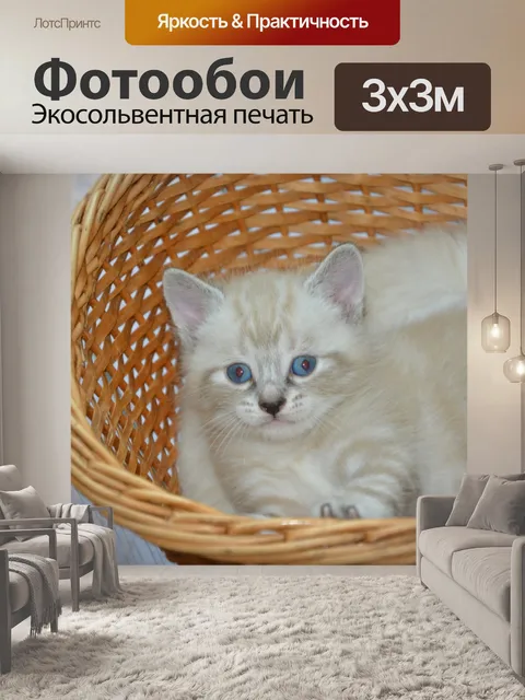 Фотообои Котенок, кошка, природа,