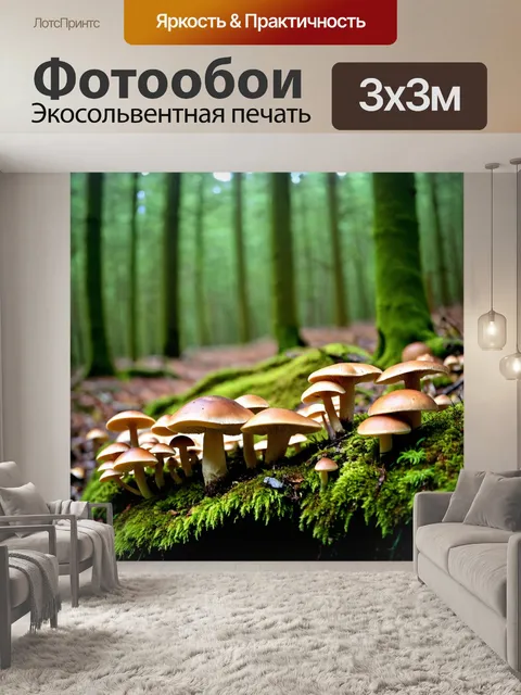 Фотообои грибы грибник, исследующий древний лес, осматривающий редкие виды грибов на поверхности мха