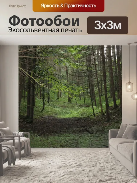 Фотообои Лес