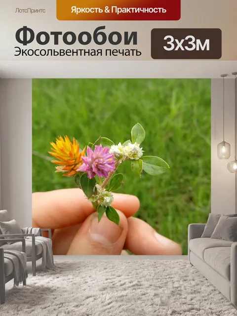 Фотообои Цветок