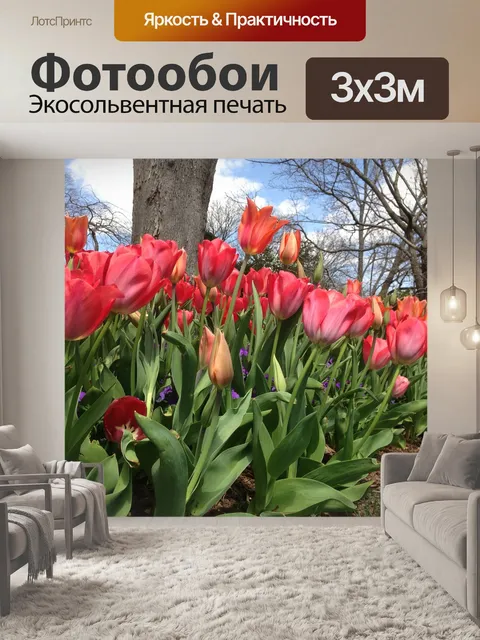Фотообои Цветы