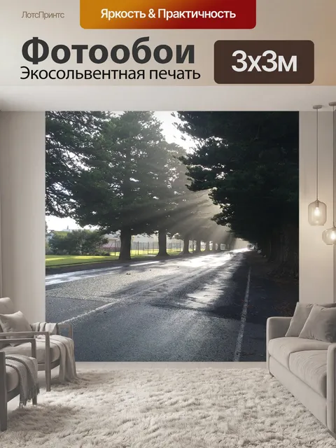 Фотообои Деревья