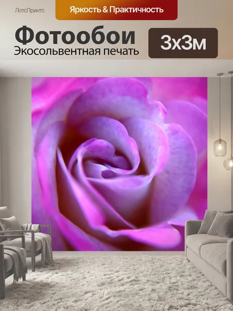 Фотообои Роза 17