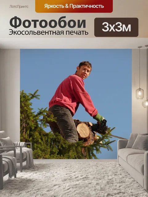 Фотообои Лесные работы