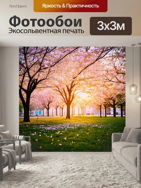 Фотообои рассвет над цветущими деревьями в городе, когда лепестки падают на землю