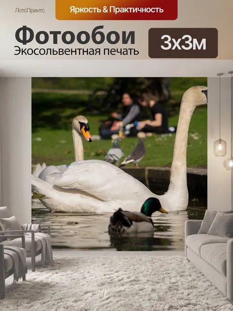 Фотообои Лебеди