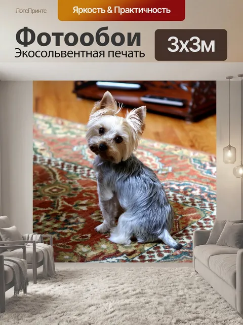 Фотообои Йорки