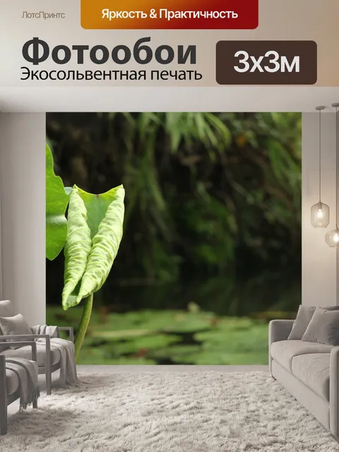 Фотообои Листьев лотоса