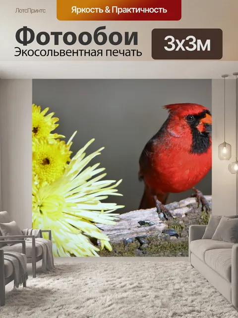 Фотообои Кардинальные и желтые мамы 2