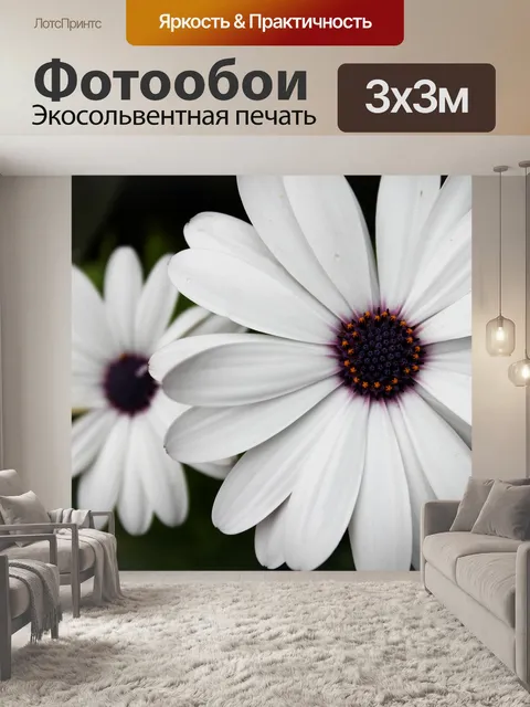 Фотообои Цветы