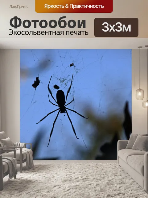 Фотообои силуэт золотого ткача сферы