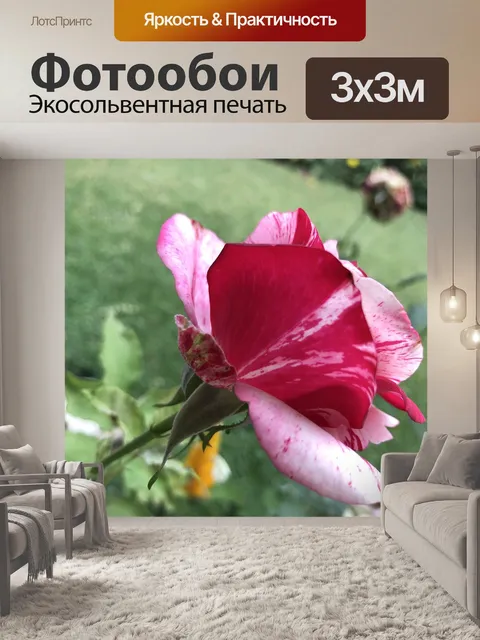Фотообои Цветы