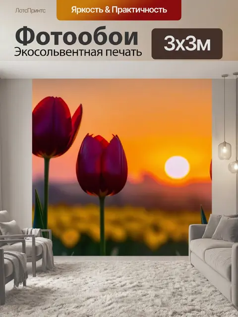 Фотообои тюльпаны на фоне заката