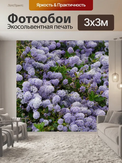 Фотообои Кумба