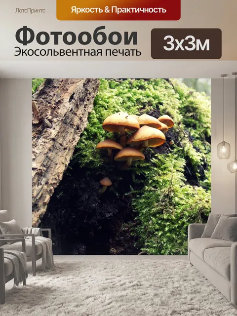 Фотообои Лес