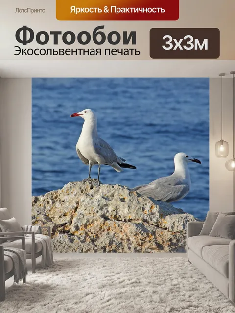 Фотообои Чайки