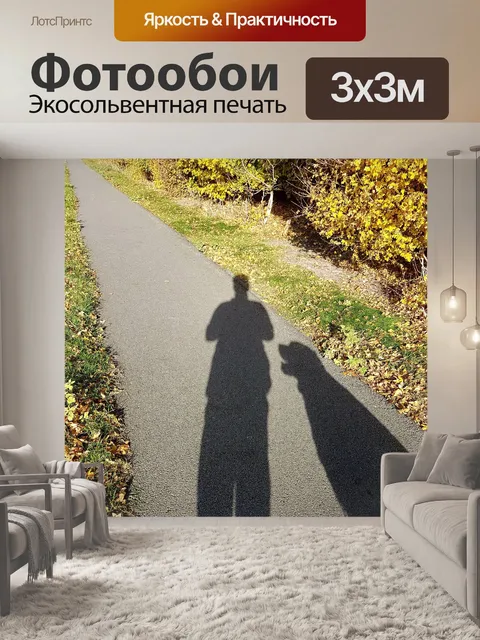 Фотообои Тень