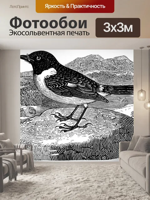 Фотообои Каменная черепица