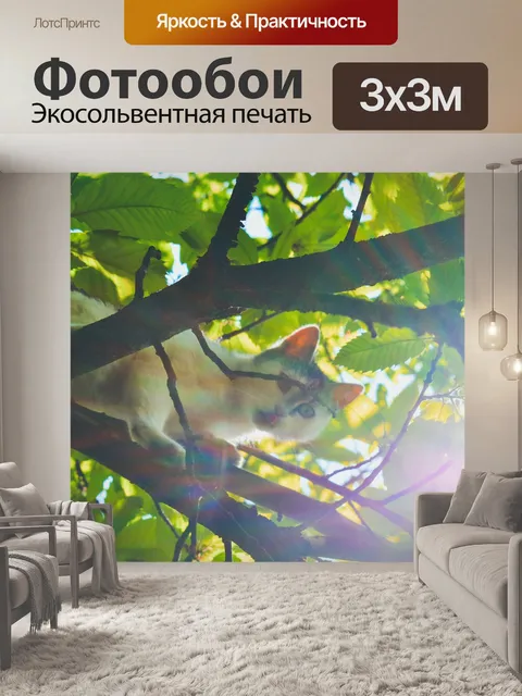 Фотообои Кошка