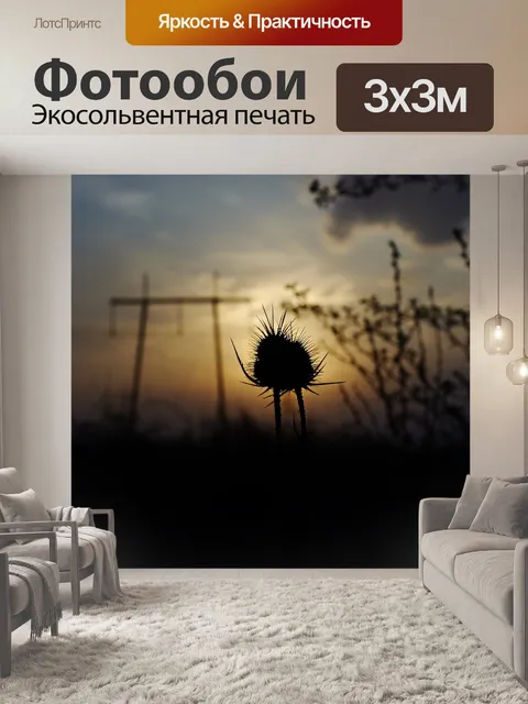 Фотообои Ночь
