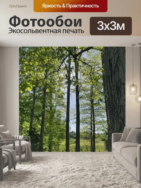 Фотообои Деревья