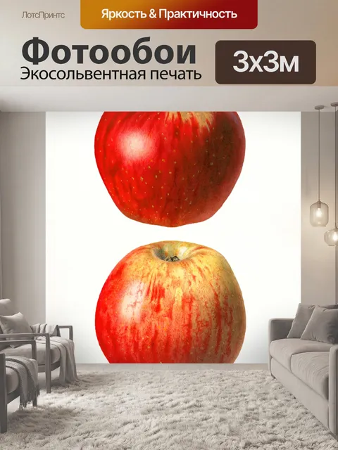 Фотообои Яблоки фрукты фрукты арт