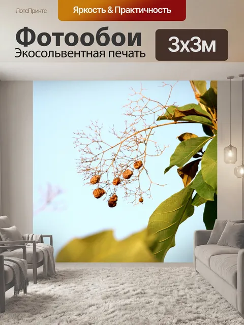 Фотообои Дикое дерево листья