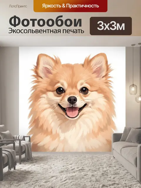 Фотообои Улыбающийся померанский шпиц крупным планом