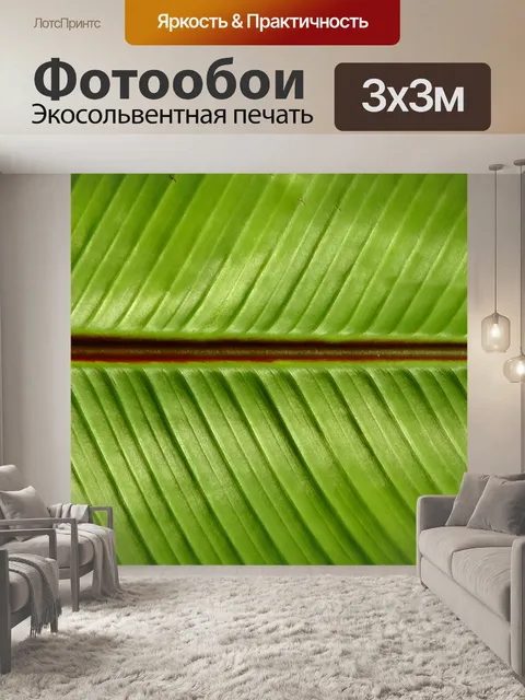Фотообои Зеленый сад Фон