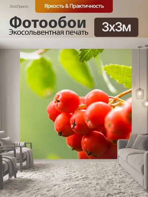 Фотообои Ягоды