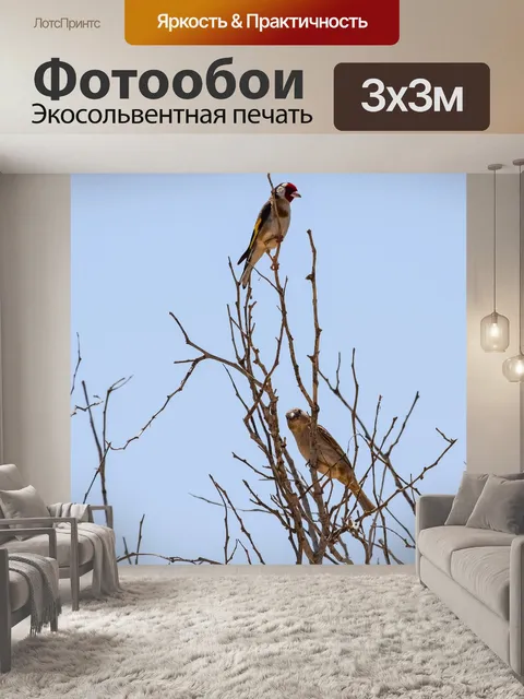 Фотообои Птицы
