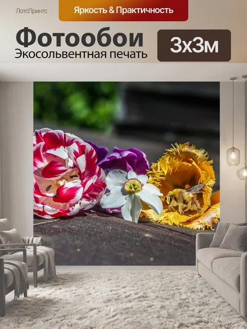 Фотообои Тюльпаны