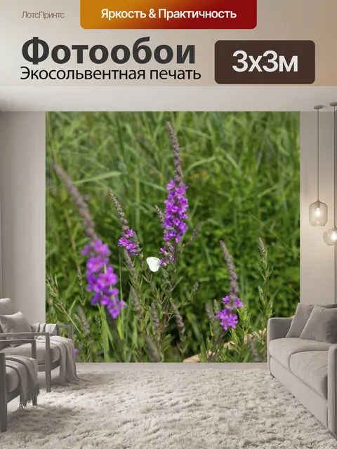 Фотообои Цветы