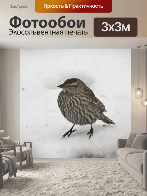 Фотообои Воробей Фокс в снегу 2