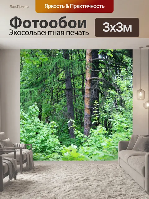 Фотообои деревья в парке в Москве