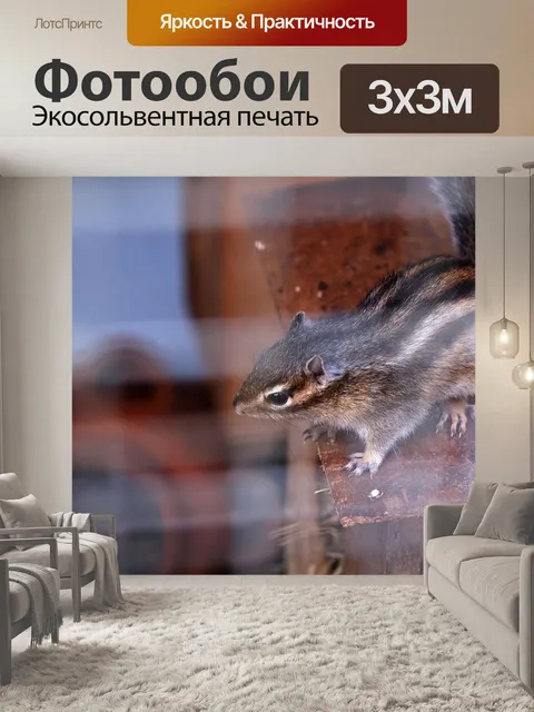 Фотообои Животное