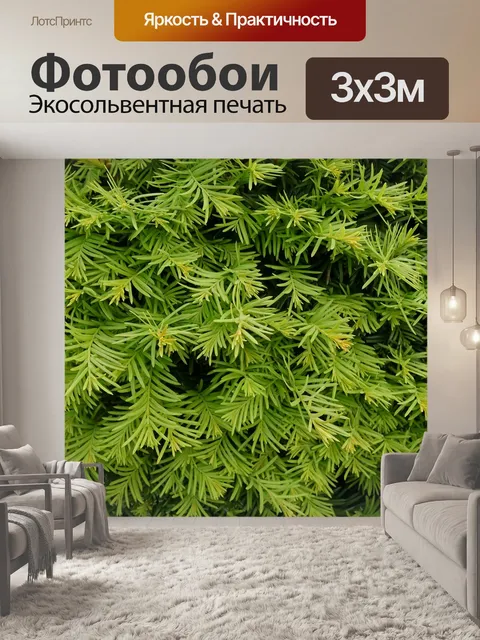 Фотообои Дерево