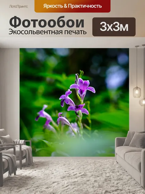 Фотообои Цветок