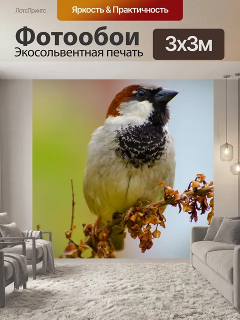 Фотообои Птица