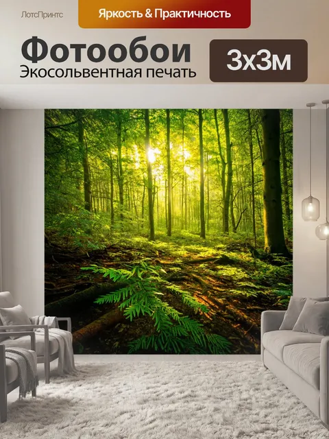Фотообои светофильтры из листвы создают красивые узоры на полу леса